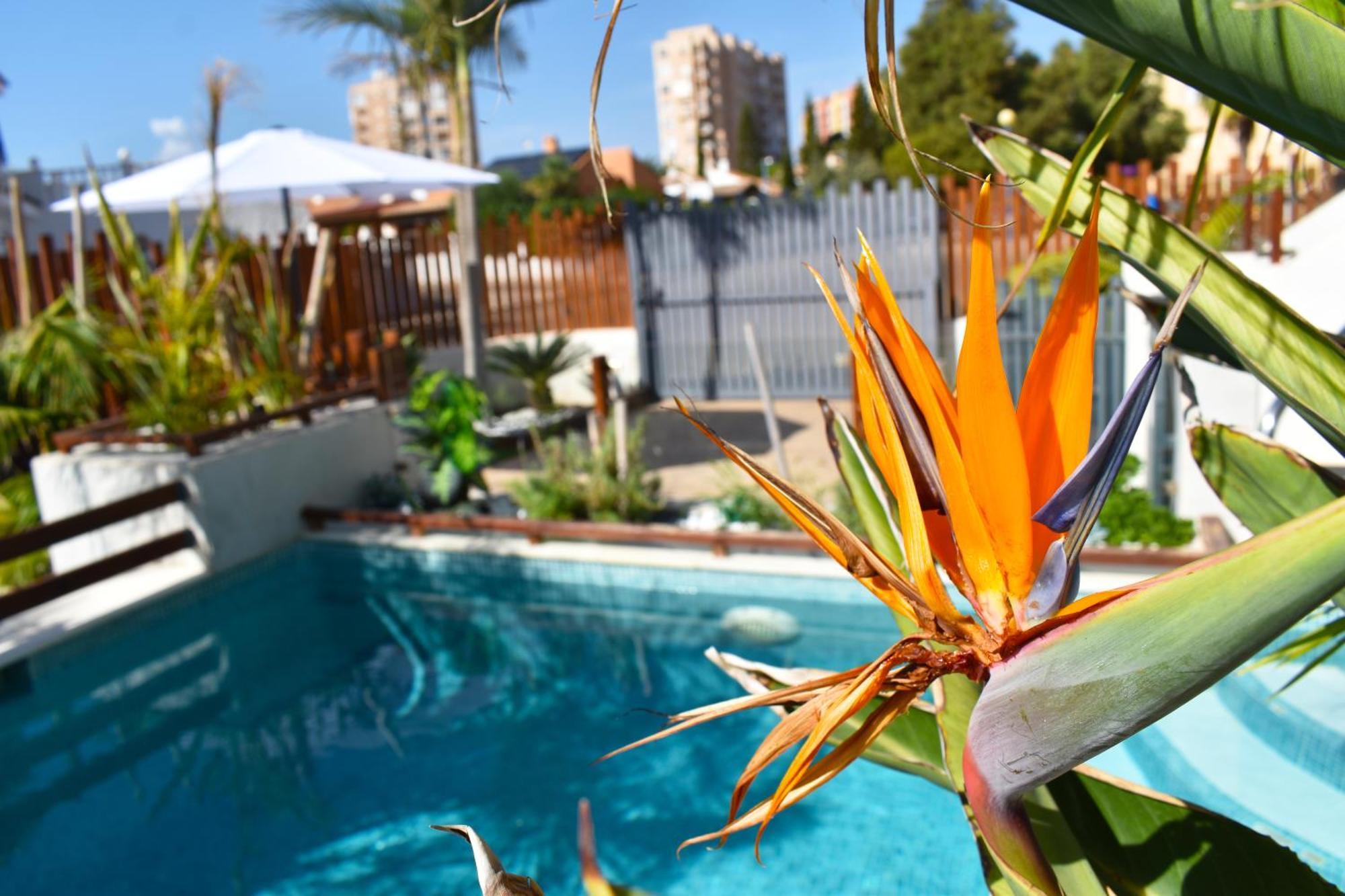 Apart Turisticos Marine Rest La Manga Mar Menor Piscinas Privadas Playa Paraiso  Exterior foto